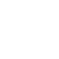 animation drive experience