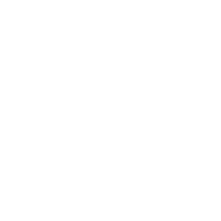 animation drive experience